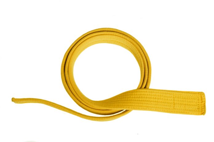 3 Important Roles Of A Yellow Belt